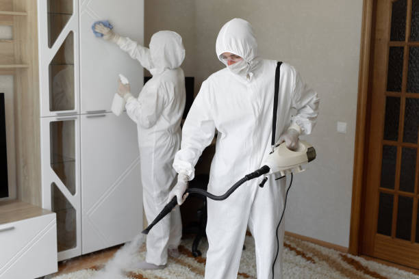 Best Mold Testing  in Constantine, MI